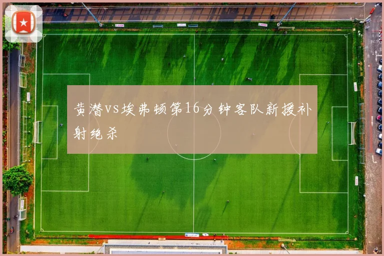 黄潜vs埃弗顿第16分钟客队新援补射绝杀