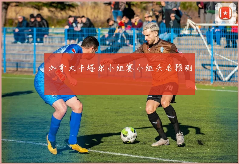 加拿大卡塔尔小组赛小组头名预测