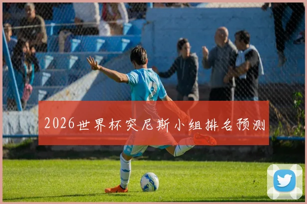 2026世界杯突尼斯小组排名预测