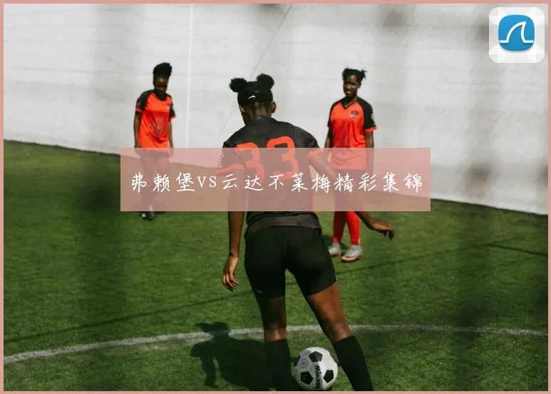 弗赖堡vs云达不莱梅精彩集锦