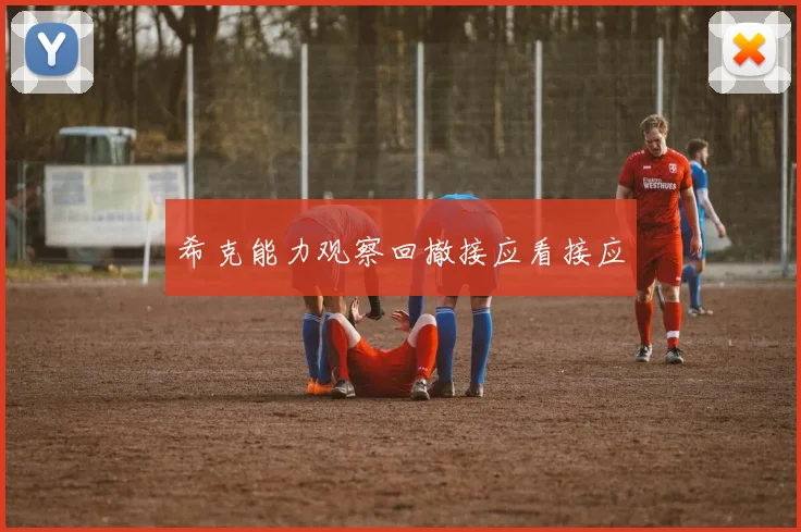 希克能力观察回撤接应看接应